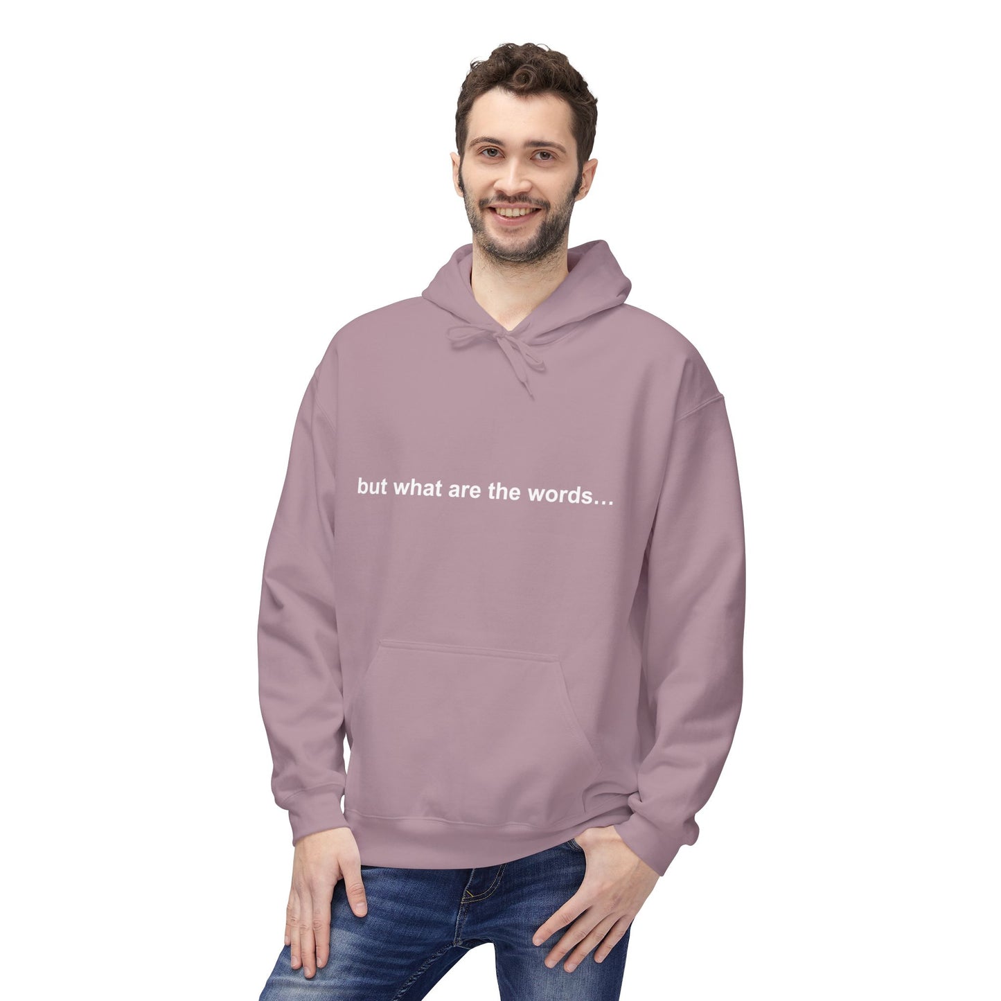 "BUT WHAT ARE THE WORDS" HOODIE