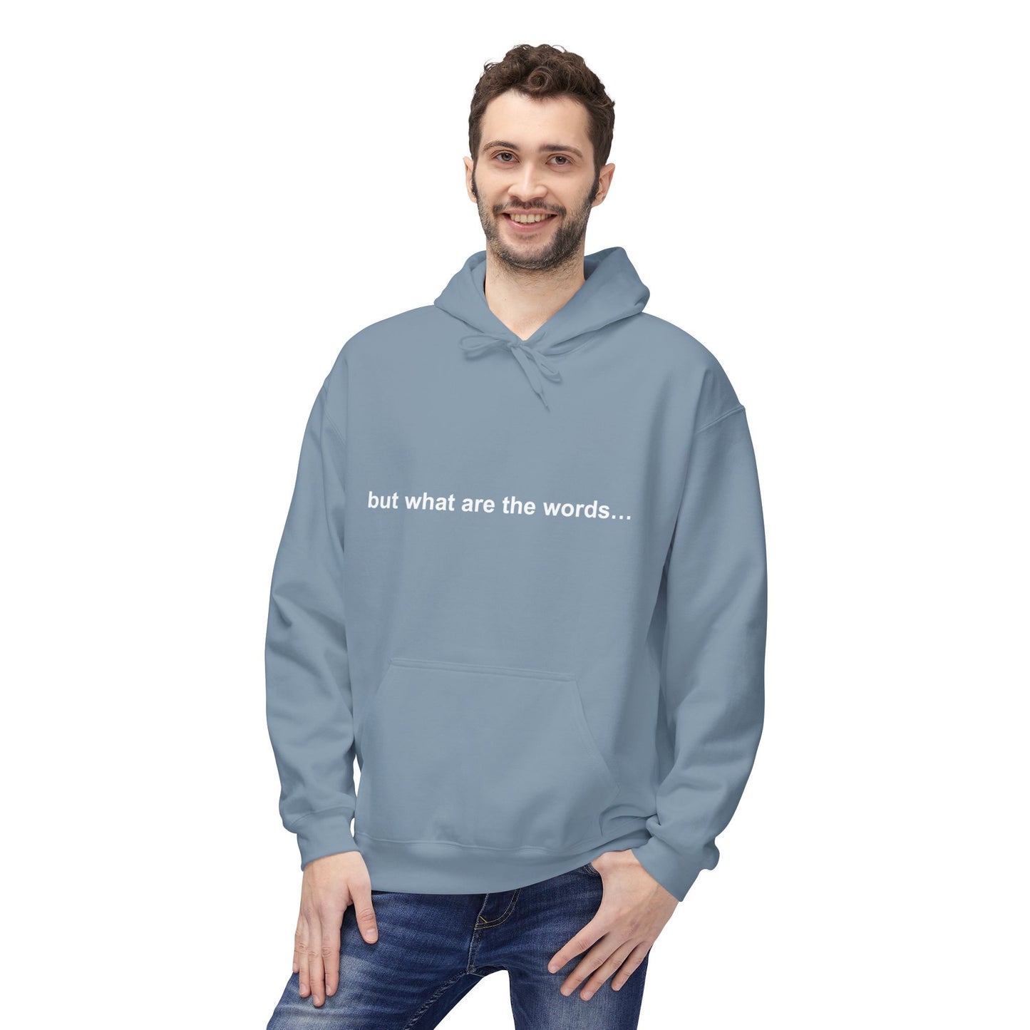 "BUT WHAT ARE THE WORDS" HOODIE