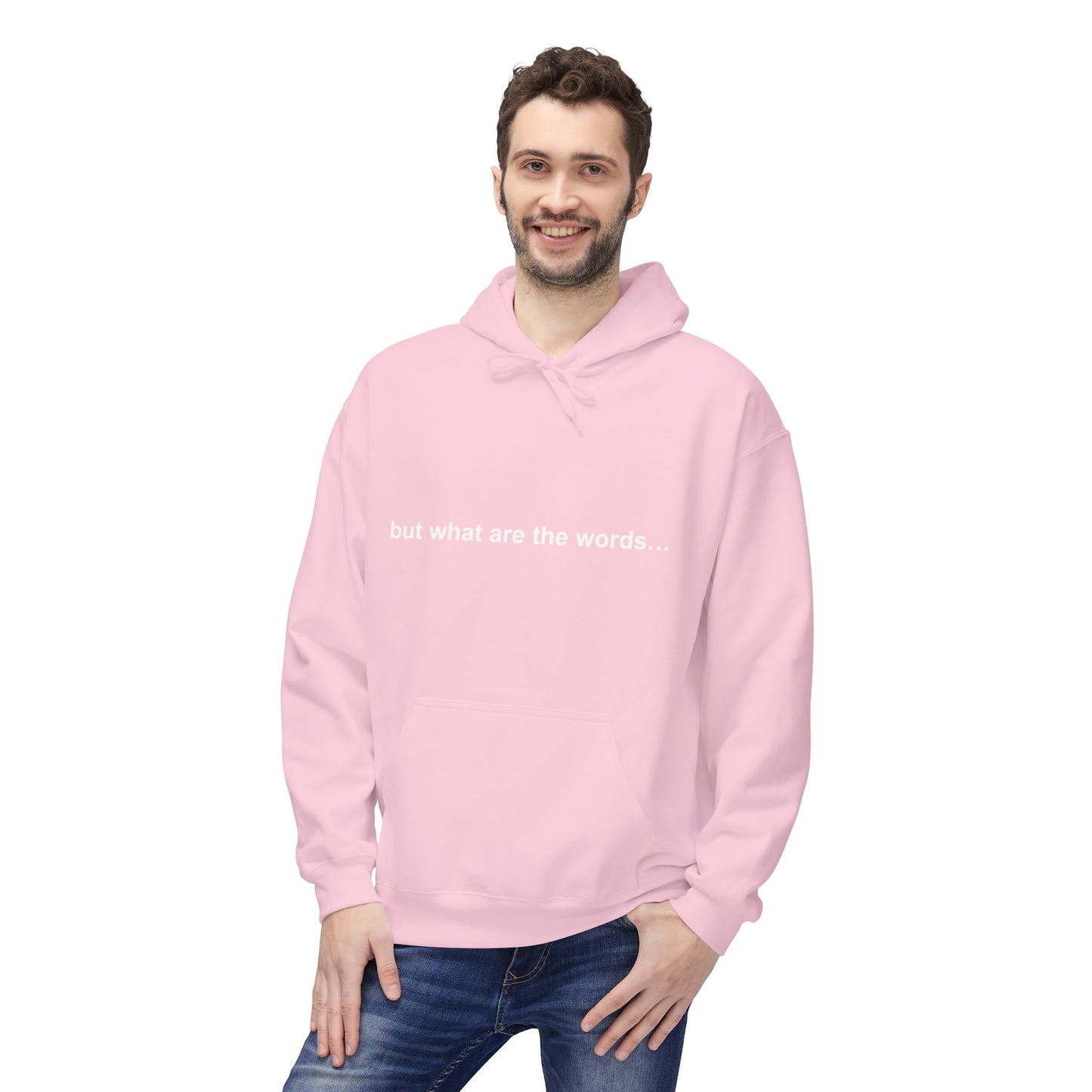 "BUT WHAT ARE THE WORDS" HOODIE