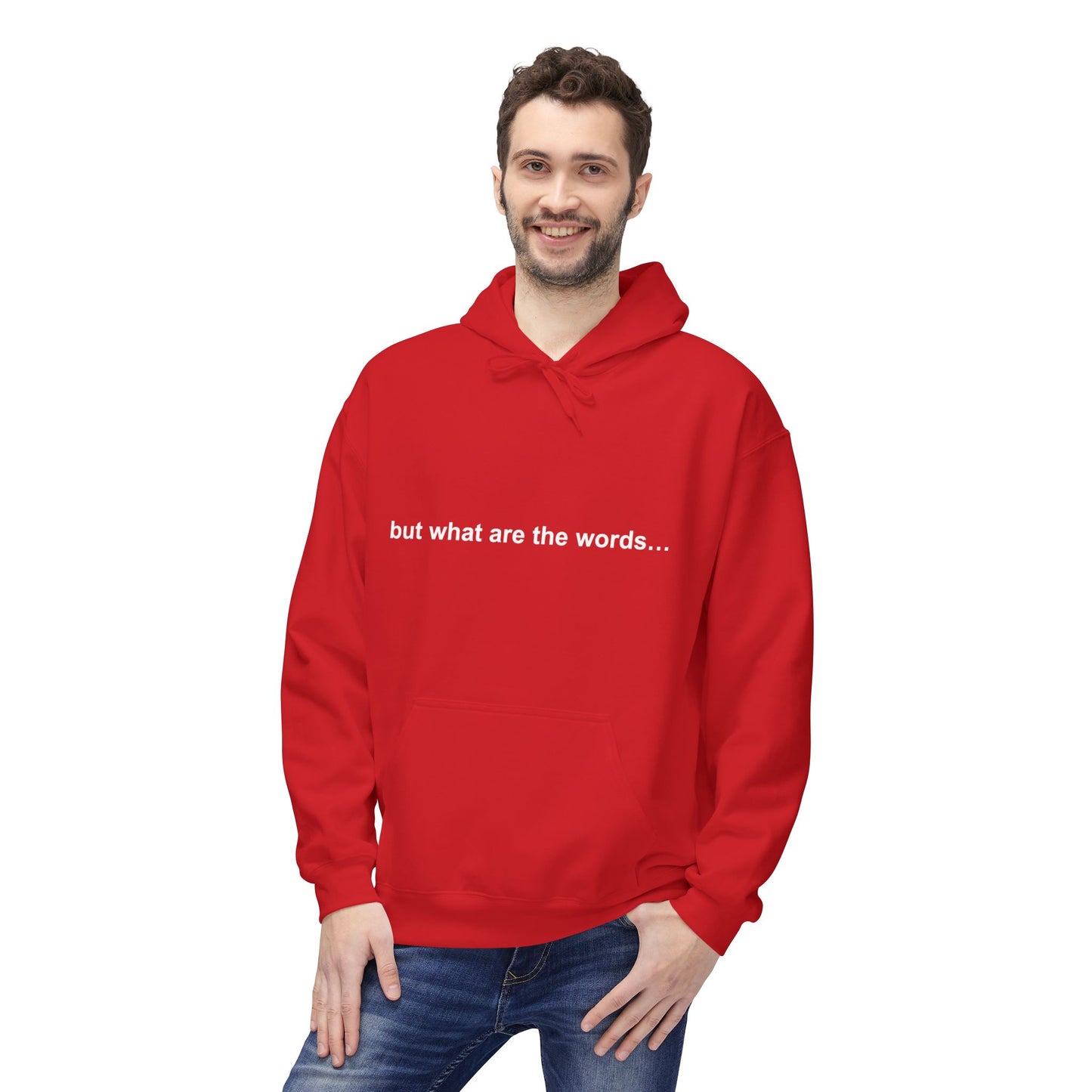 "BUT WHAT ARE THE WORDS" HOODIE