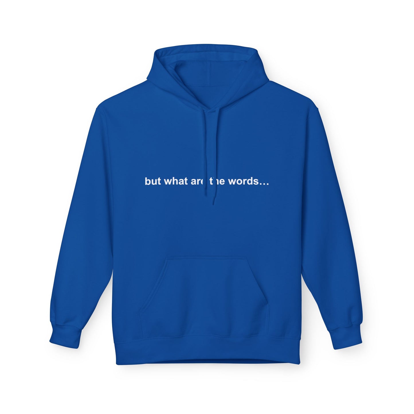 "BUT WHAT ARE THE WORDS" HOODIE
