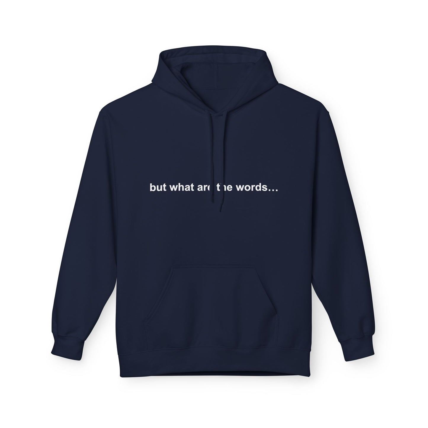 "BUT WHAT ARE THE WORDS" HOODIE