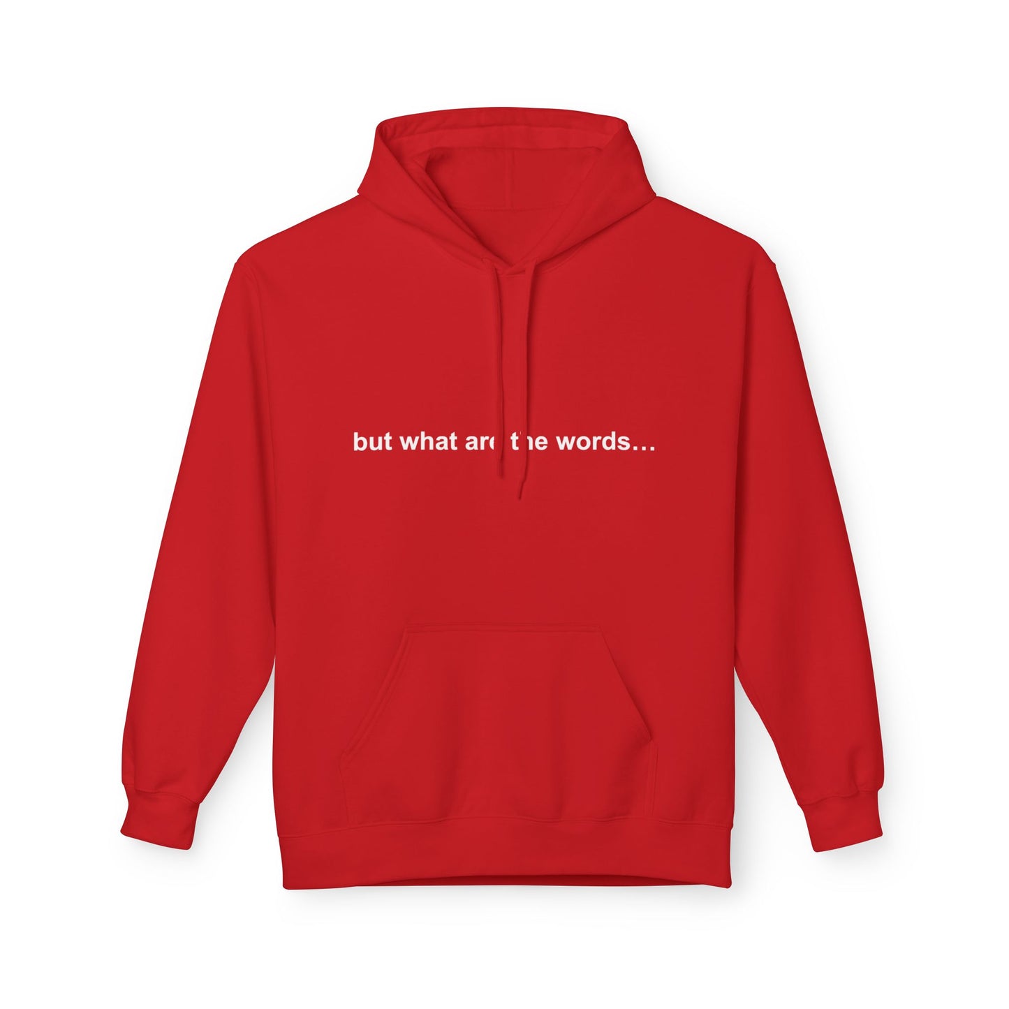 "BUT WHAT ARE THE WORDS" HOODIE