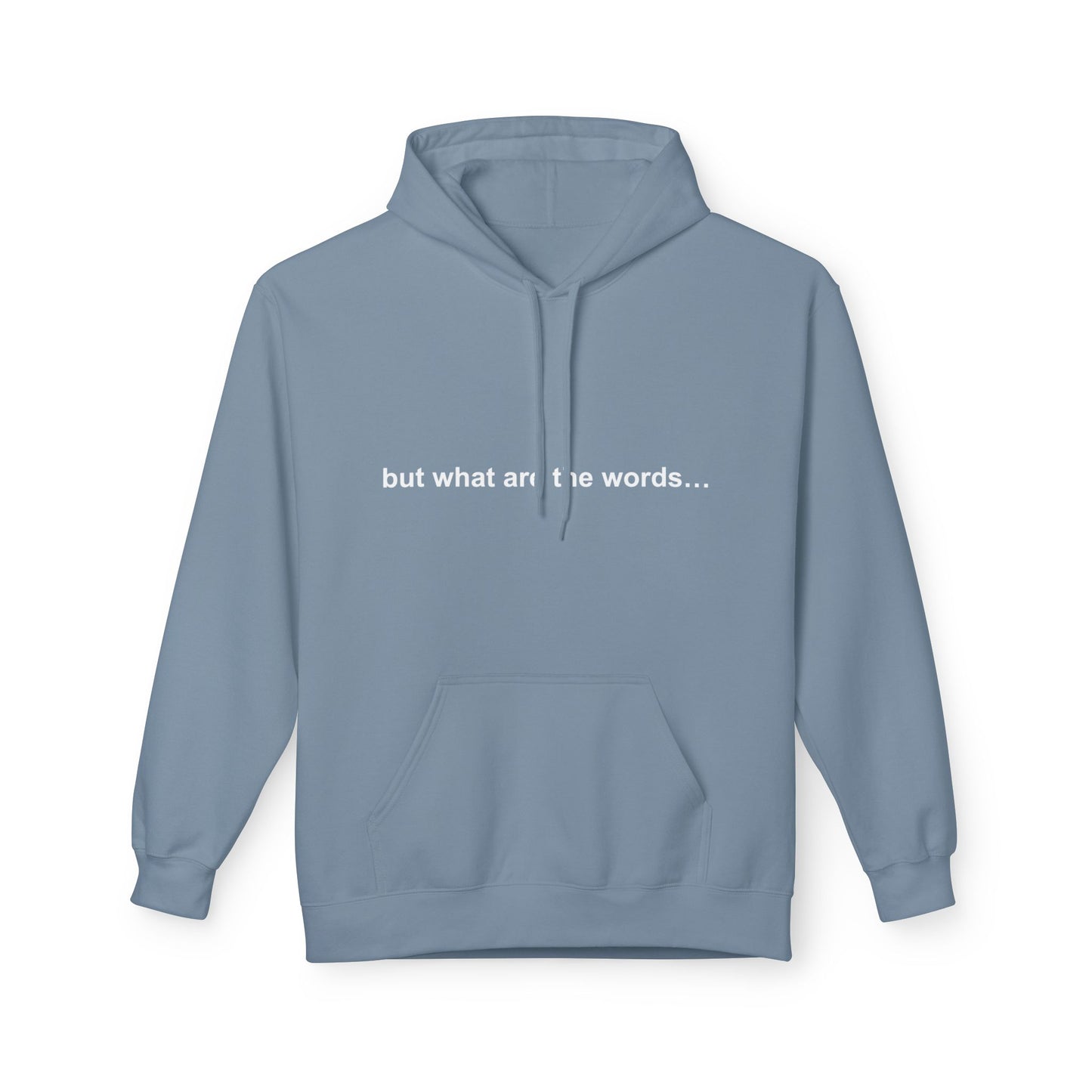 "BUT WHAT ARE THE WORDS" HOODIE