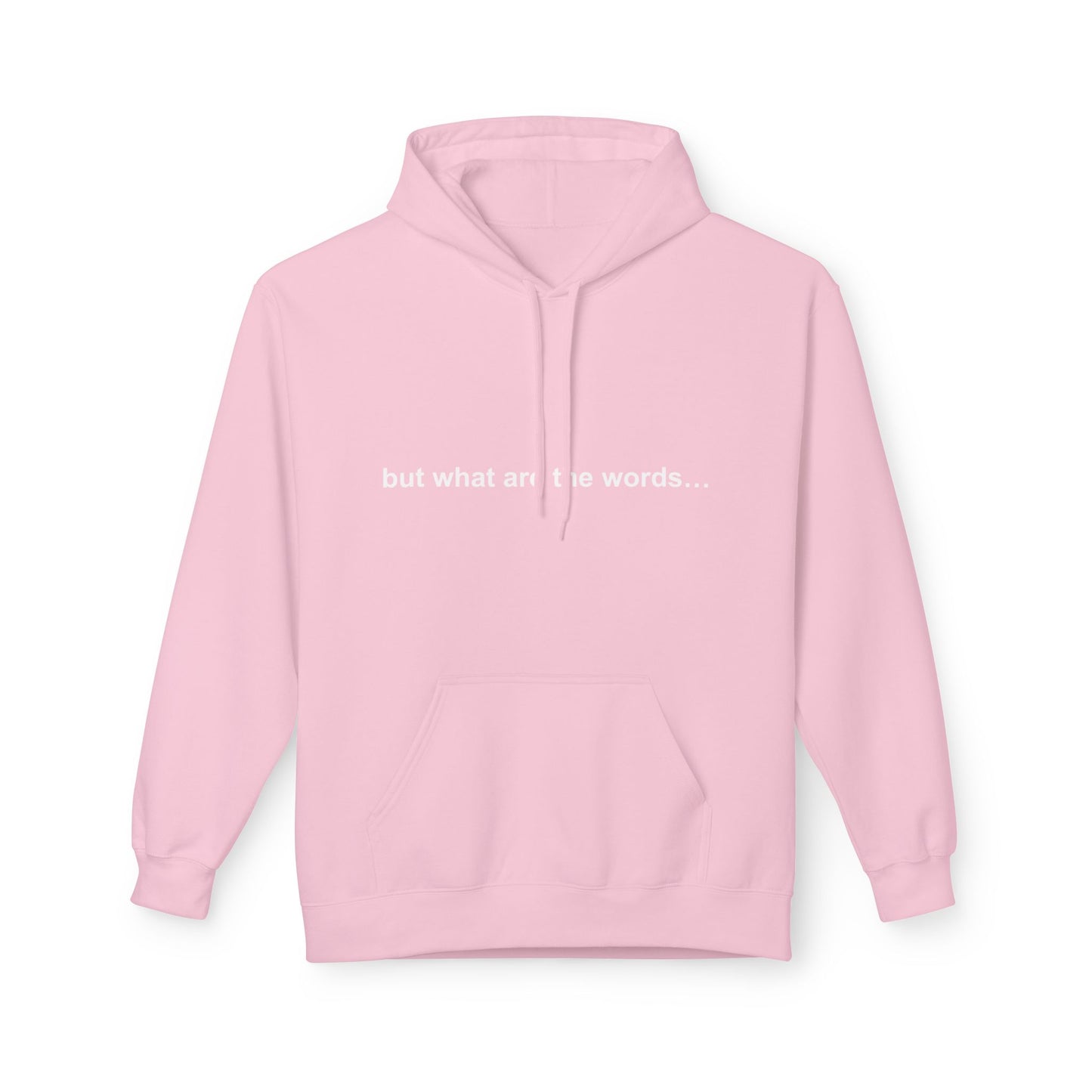 "BUT WHAT ARE THE WORDS" HOODIE