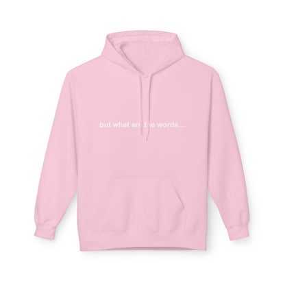 "BUT WHAT ARE THE WORDS" HOODIE