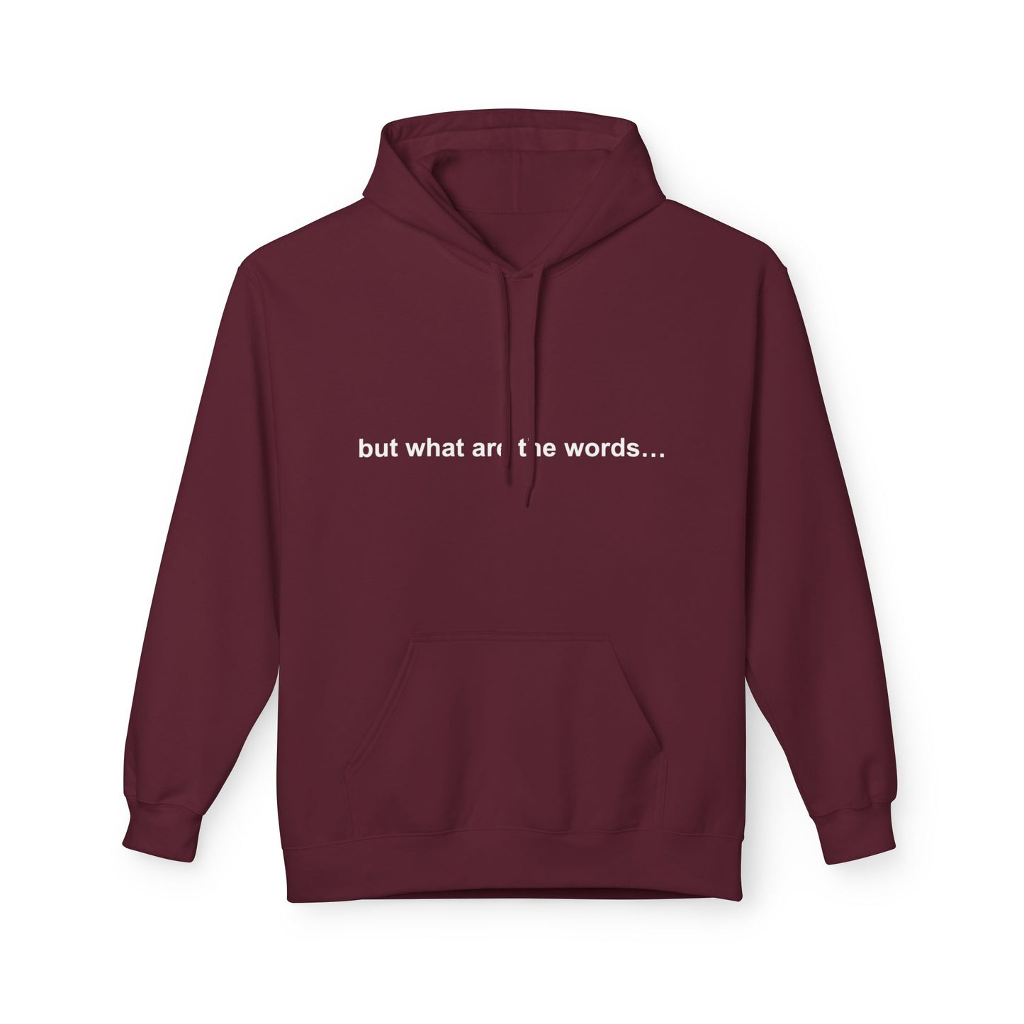 "BUT WHAT ARE THE WORDS" HOODIE
