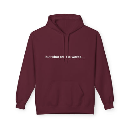"BUT WHAT ARE THE WORDS" HOODIE