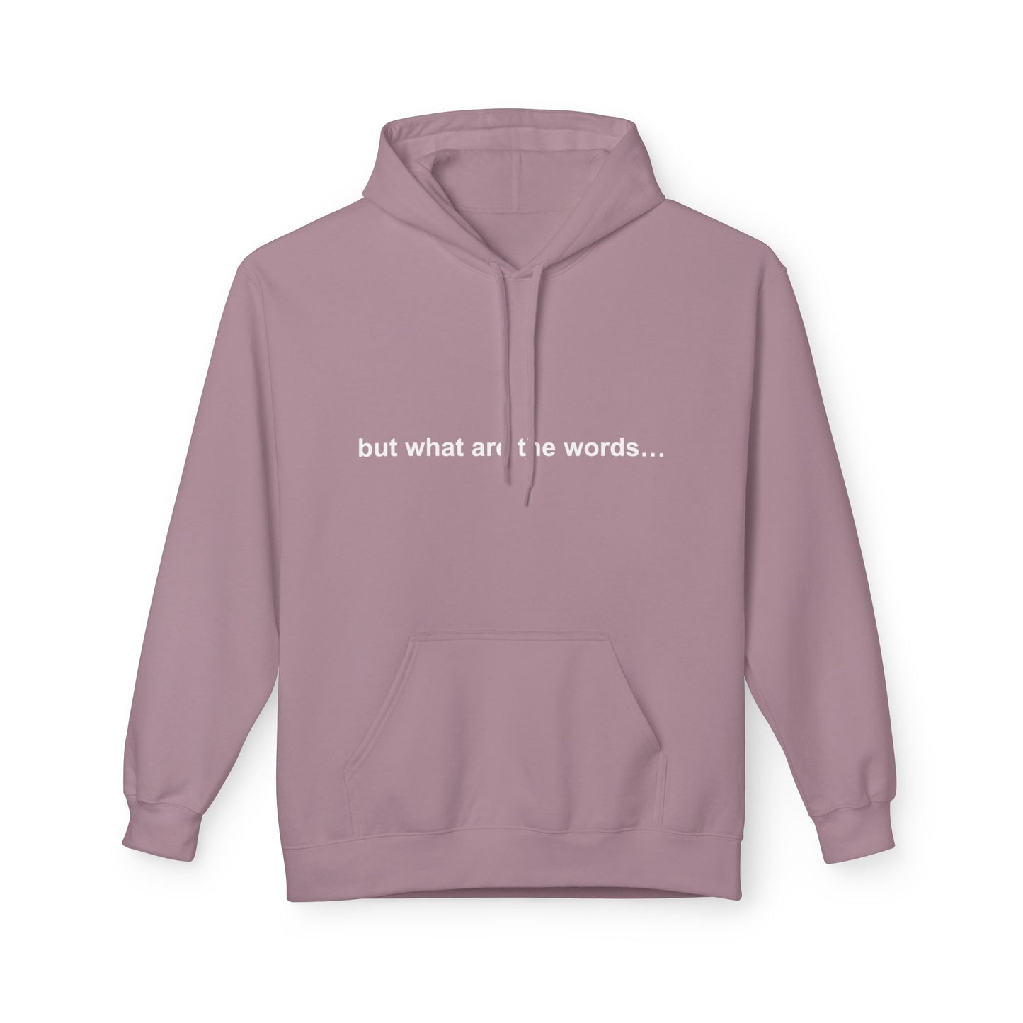 "BUT WHAT ARE THE WORDS" HOODIE