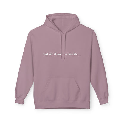 "BUT WHAT ARE THE WORDS" HOODIE