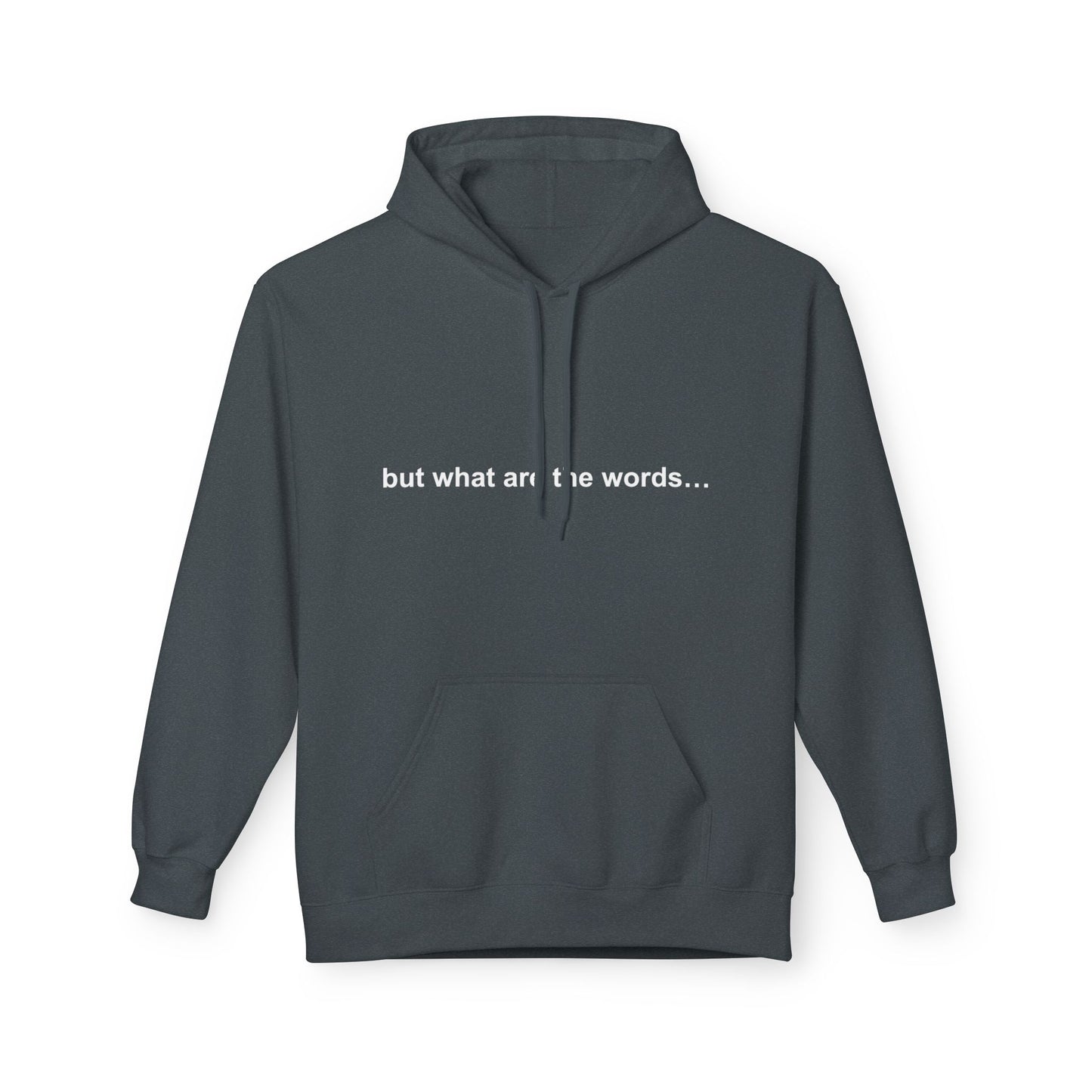 "BUT WHAT ARE THE WORDS" HOODIE