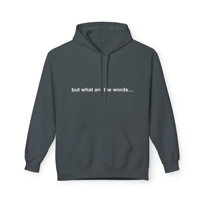 "BUT WHAT ARE THE WORDS" HOODIE