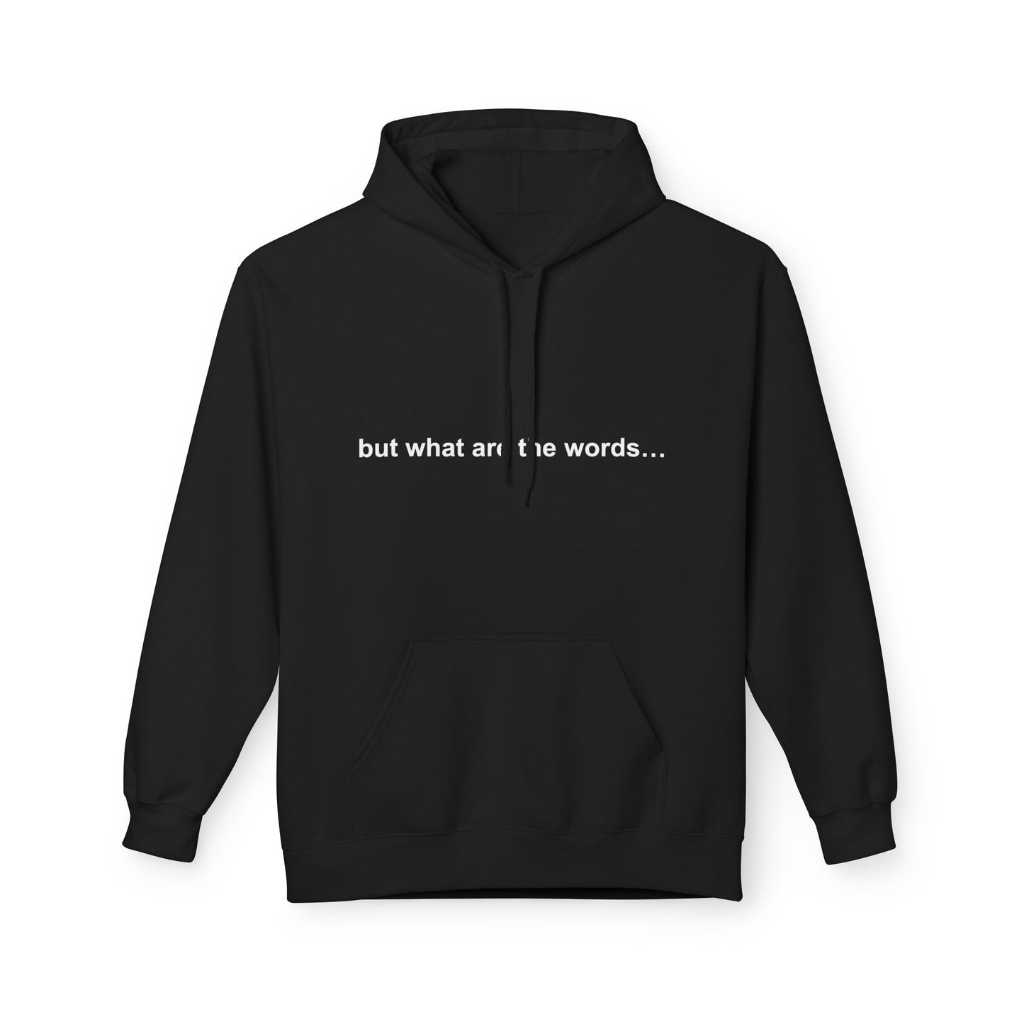 "BUT WHAT ARE THE WORDS" HOODIE