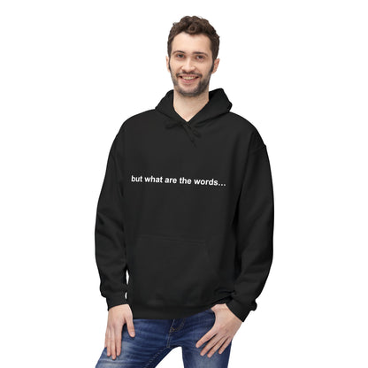 "BUT WHAT ARE THE WORDS" HOODIE