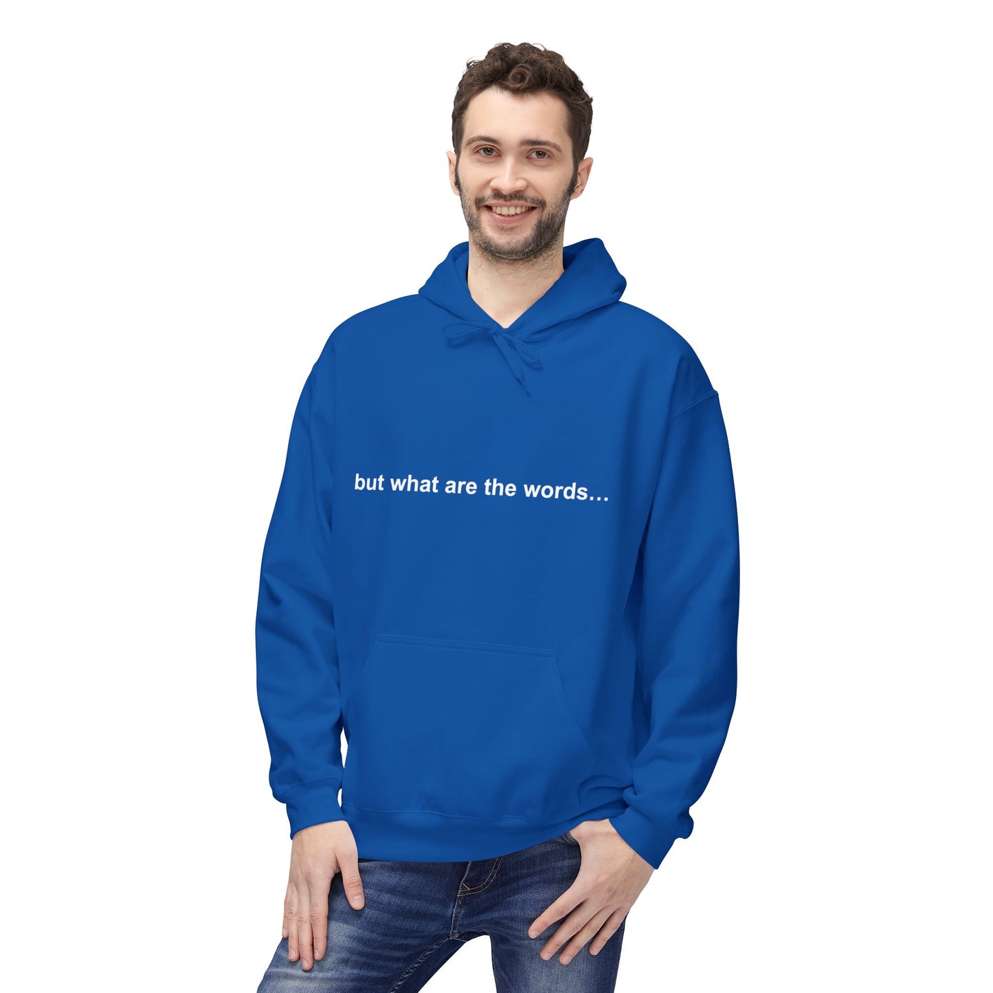 "BUT WHAT ARE THE WORDS" HOODIE