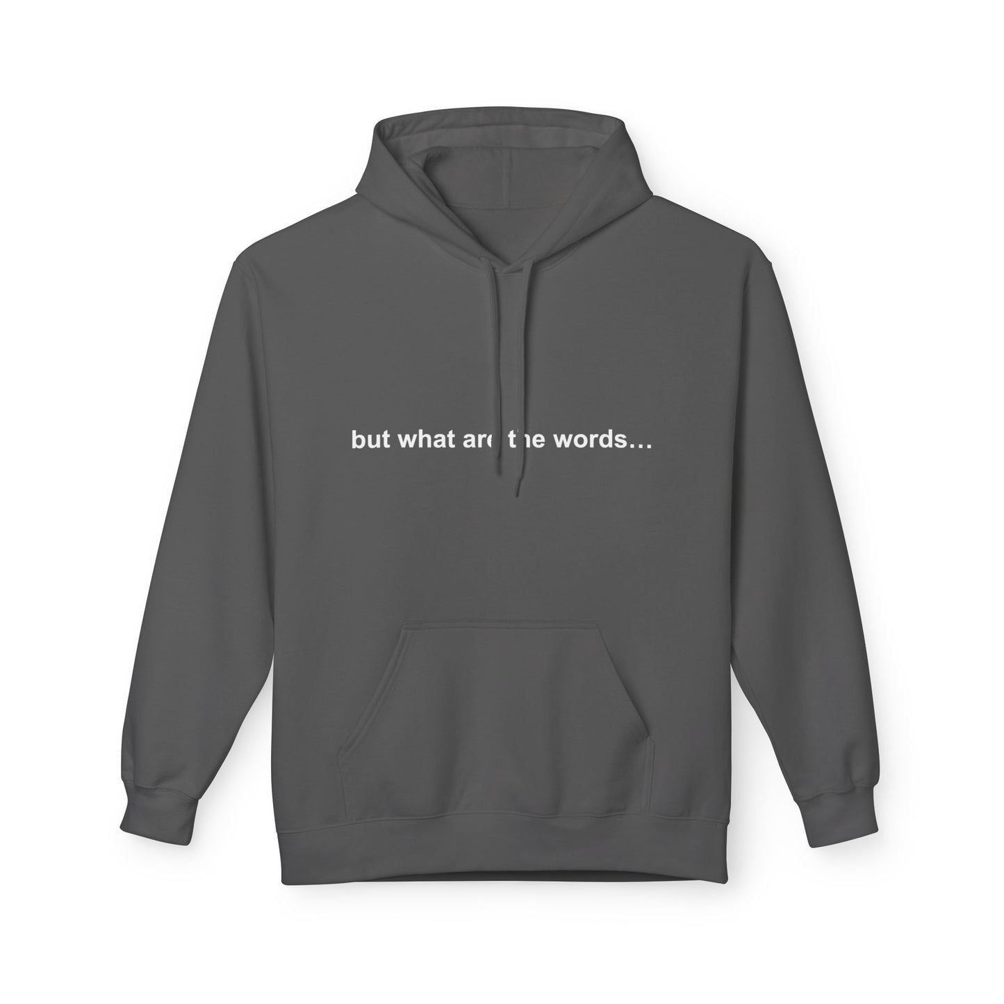 "BUT WHAT ARE THE WORDS" HOODIE