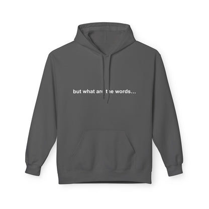 "BUT WHAT ARE THE WORDS" HOODIE