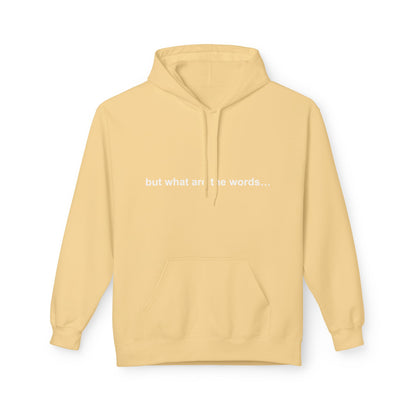 "BUT WHAT ARE THE WORDS" HOODIE