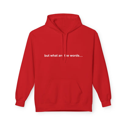 "BUT WHAT ARE THE WORDS" HOODIE