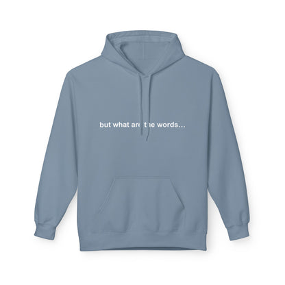 "BUT WHAT ARE THE WORDS" HOODIE